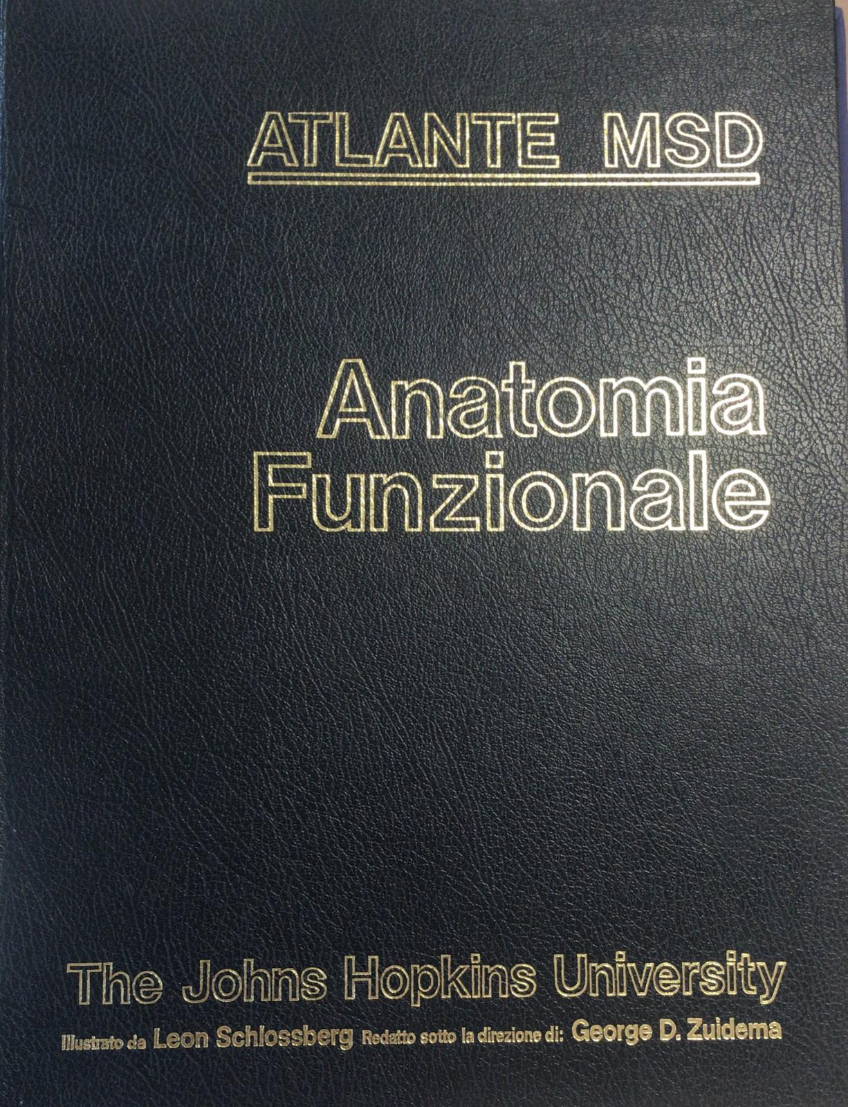 ANATOMIA FUNZIONALE